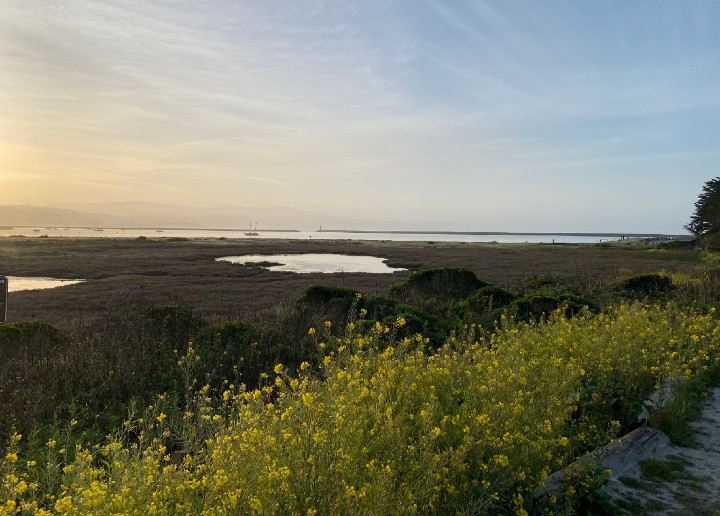California Coast